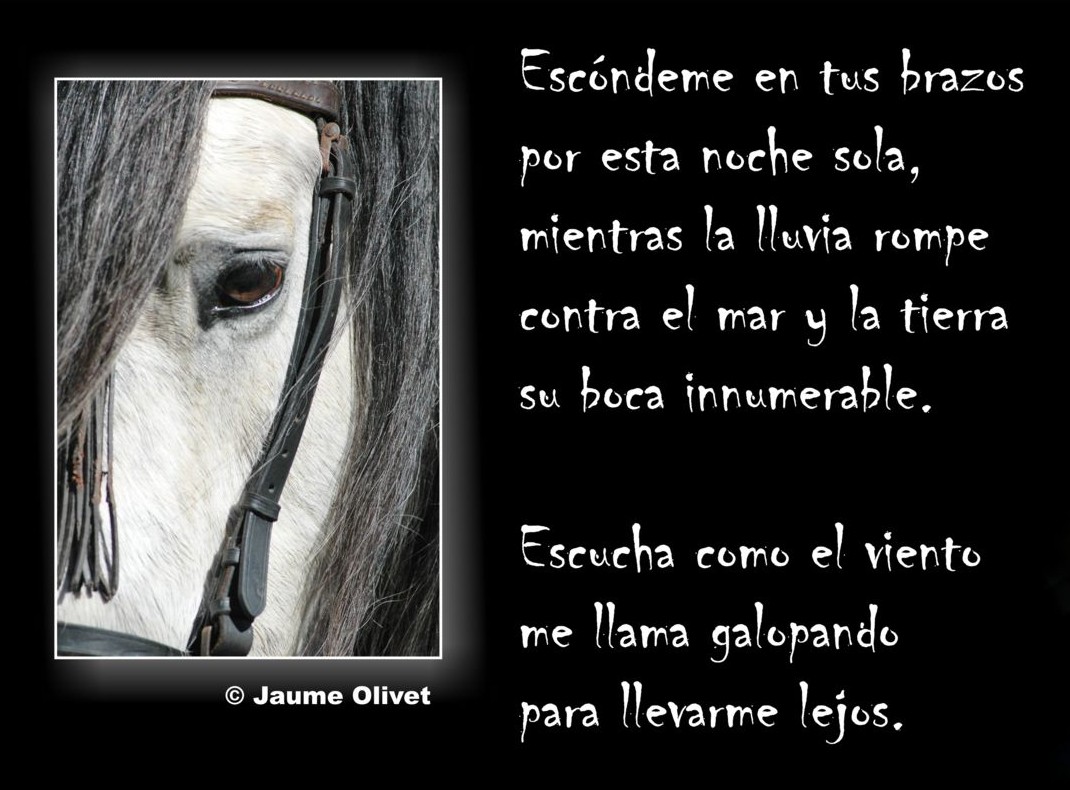 � Jaume Olivet