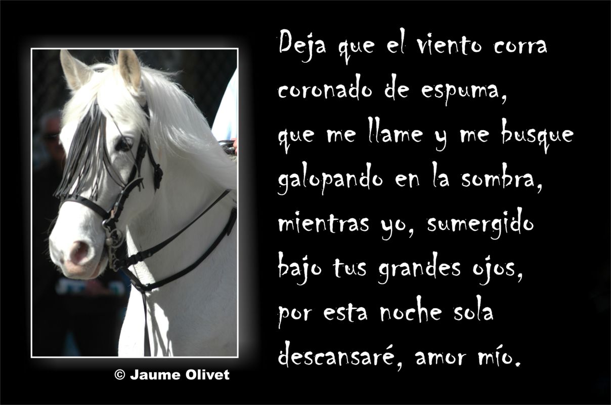 � Jaume Olivet