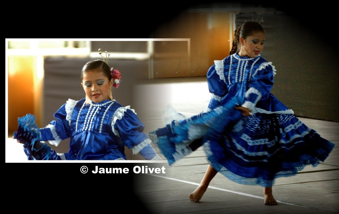 � Jaume Olivet
