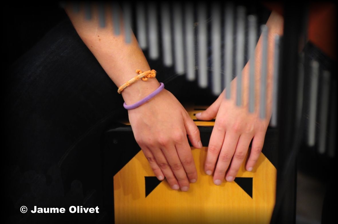 � Jaume Olivet