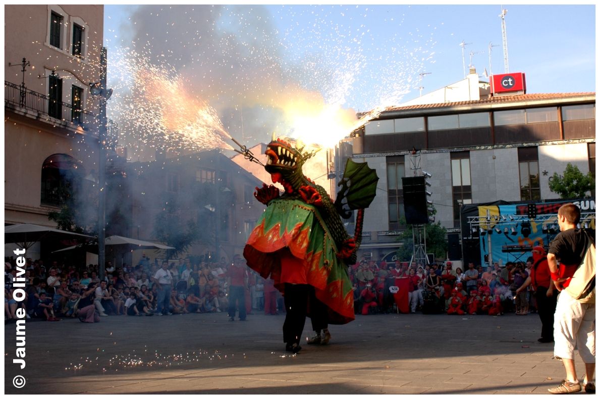 fm_2007_029 � Jaume Olivet