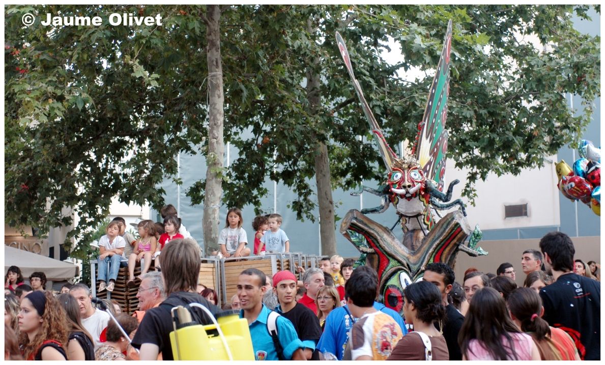 fm_2007_030 � Jaume Olivet