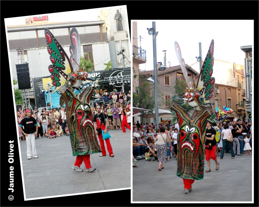 fm_2007_031 � Jaume Olivet