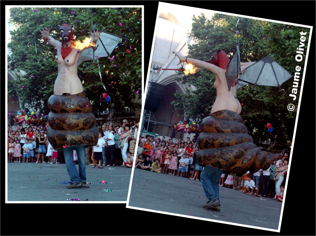 fm_2007_040 � Jaume Olivet