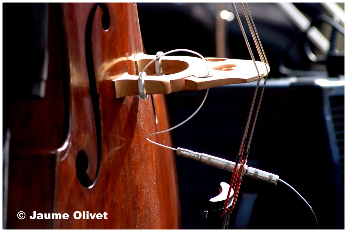 © Jaume Olivet 2007