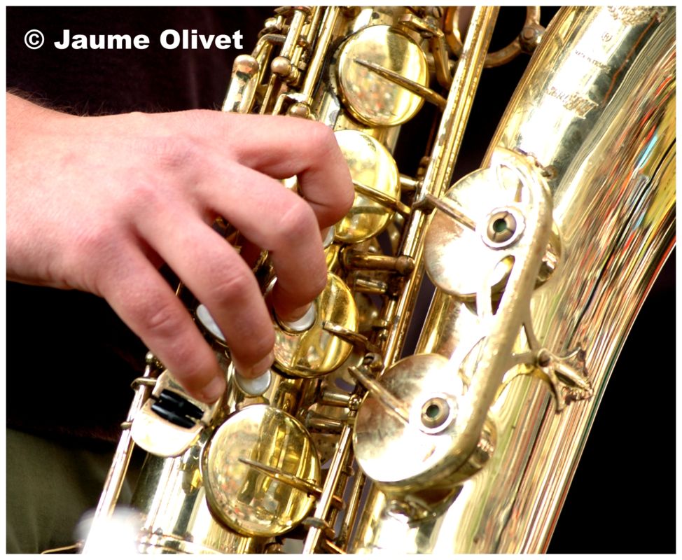 © Jaume Olivet 2007