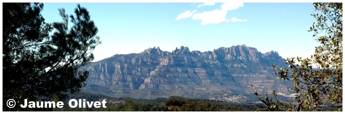 � Jaume Olivet 2008