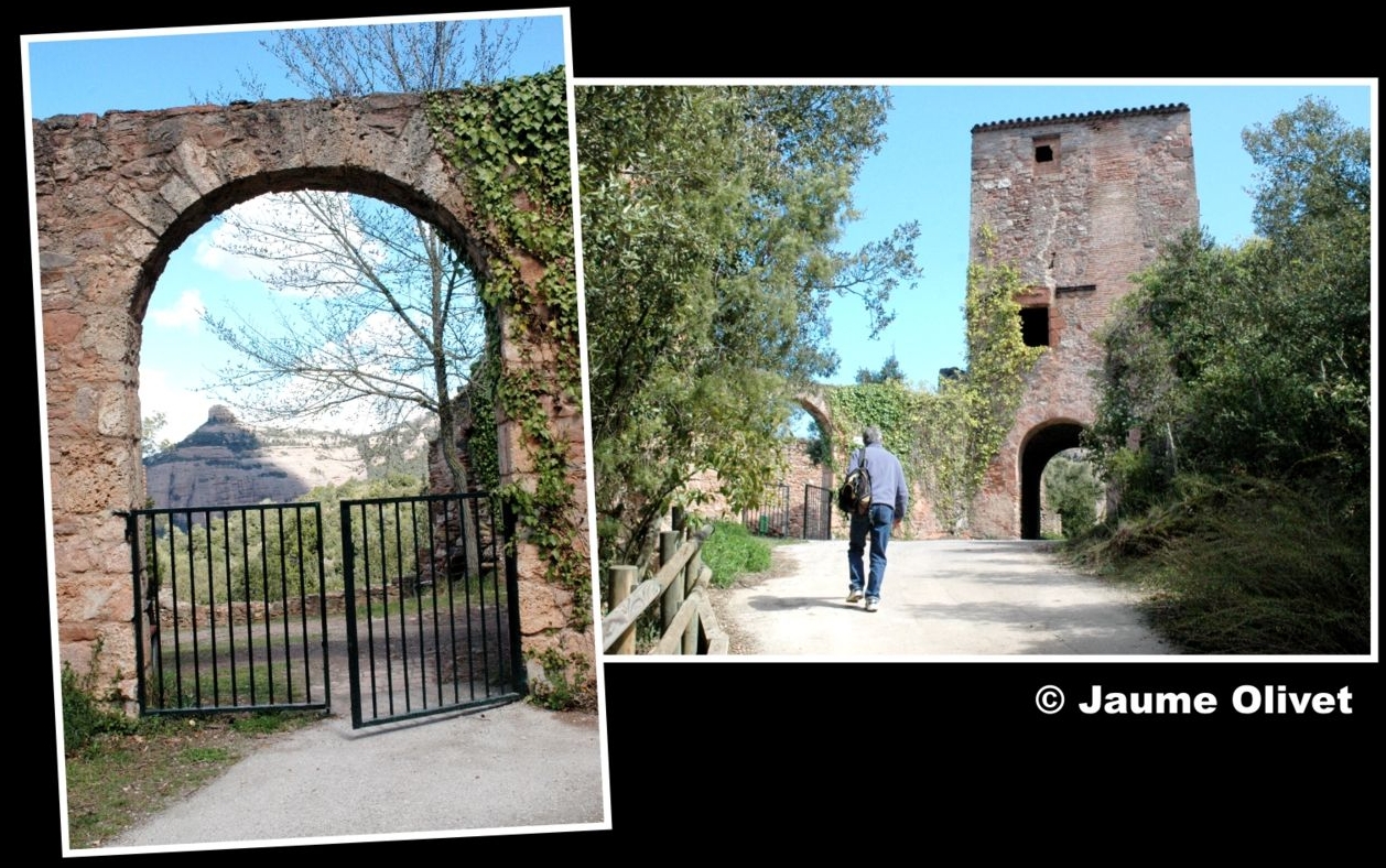 � Jaume Olivet 2008