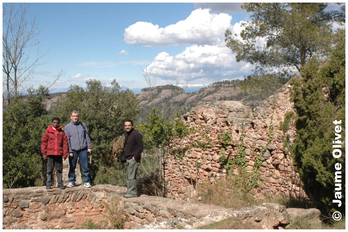 � Jaume Olivet 2008