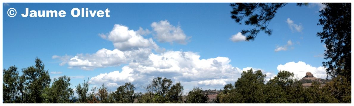 � Jaume Olivet 2008