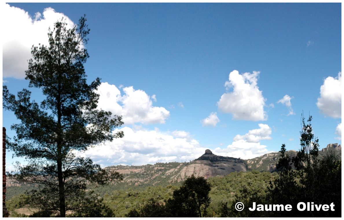 � Jaume Olivet 2008