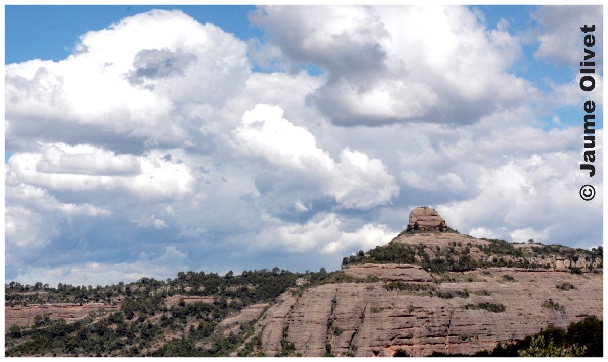 � Jaume Olivet 2008