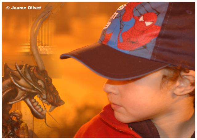 � Jaume Olivet 2008