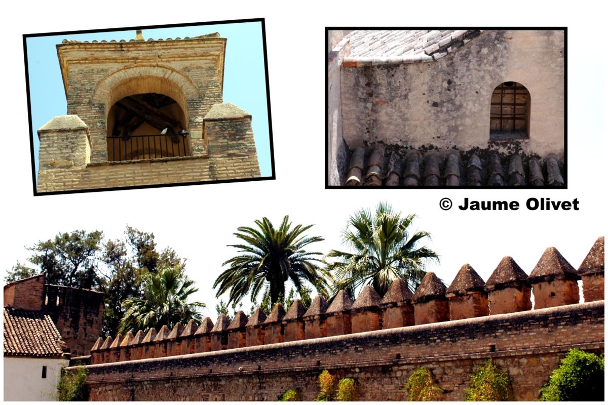 � Jaume Olivet 2009