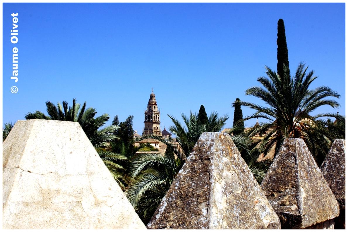 � Jaume Olivet 2009