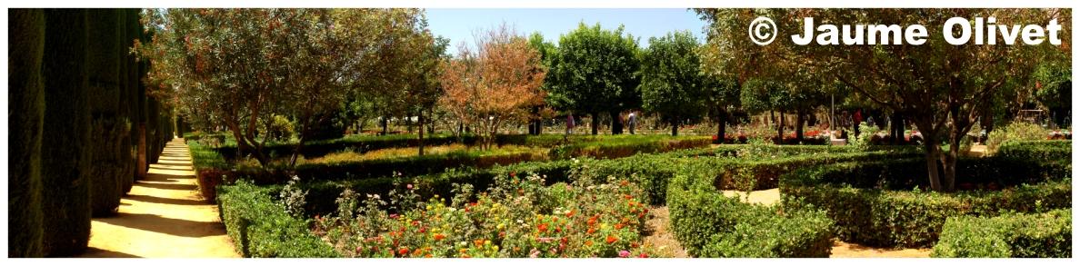 � Jaume Olivet 2009