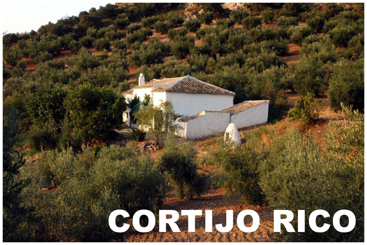  Jaume Olivet 2009