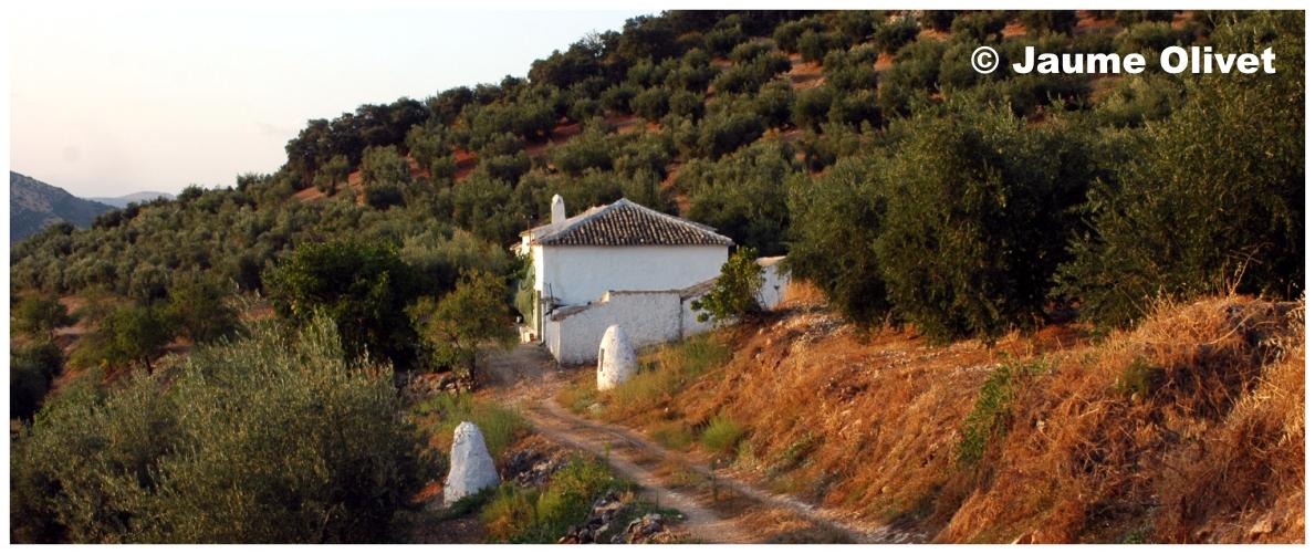 � Jaume Olivet 2009