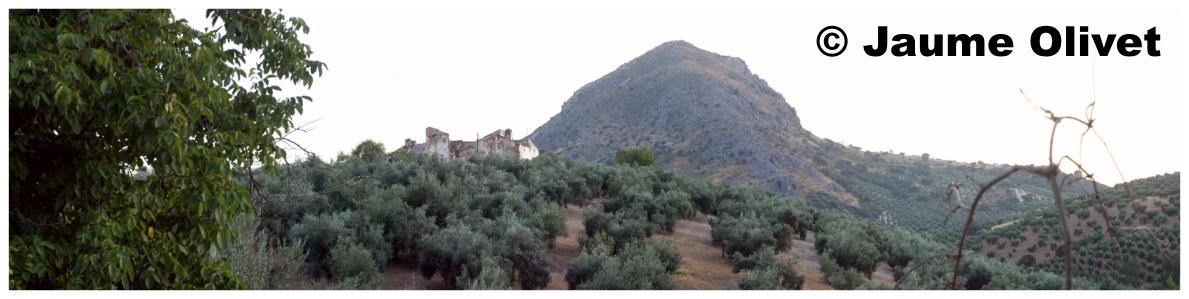 � Jaume Olivet 2009