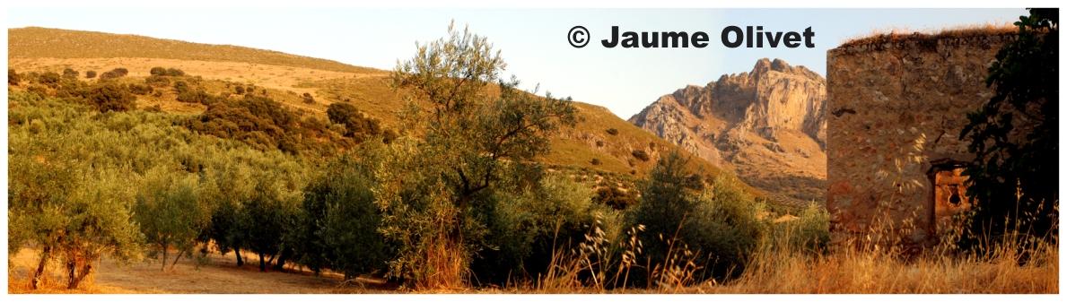 � Jaume Olivet 2009