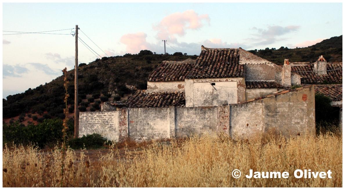 � Jaume Olivet 2009