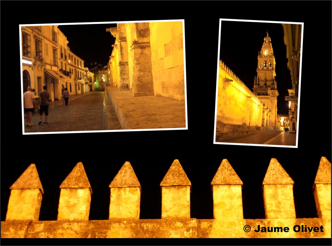 � Jaume Olivet 2009