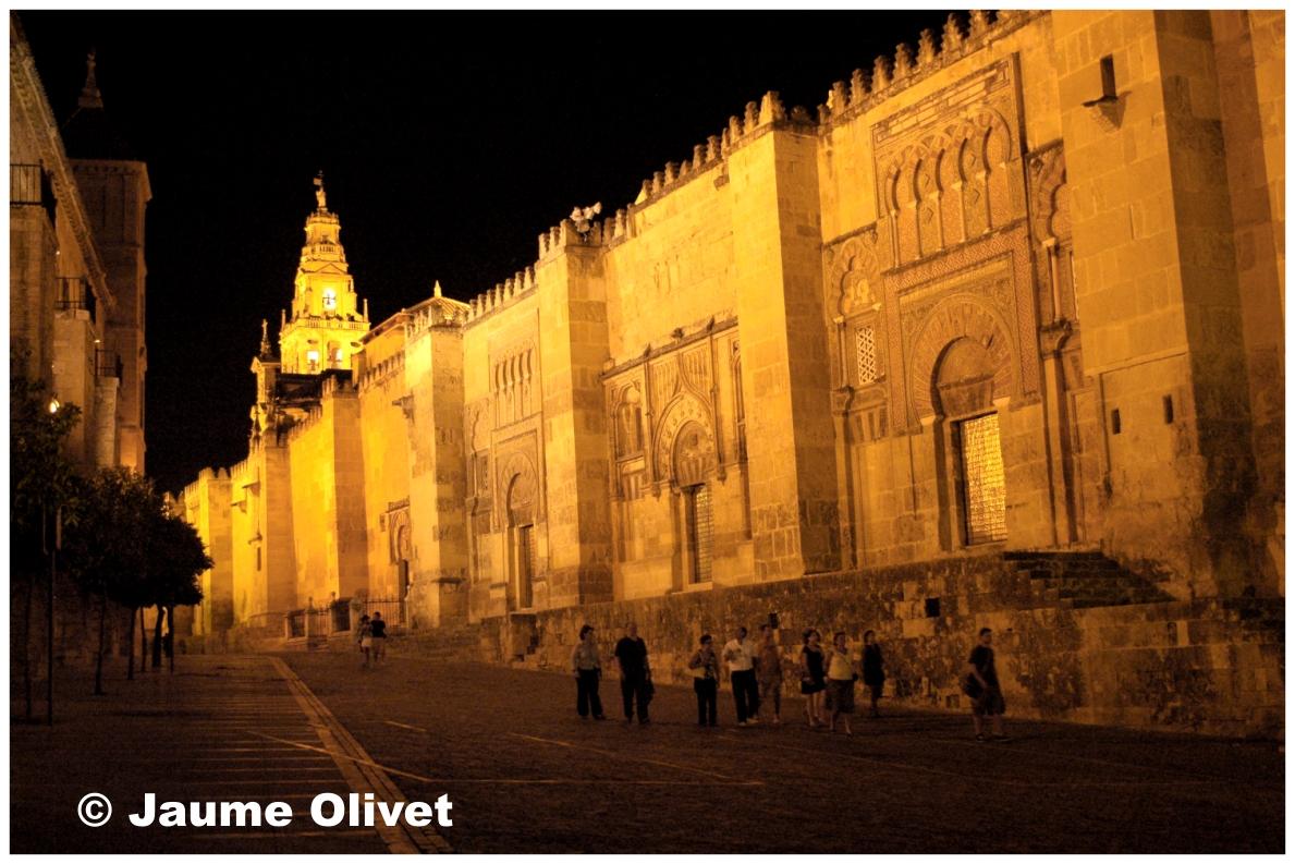 � Jaume Olivet 2009