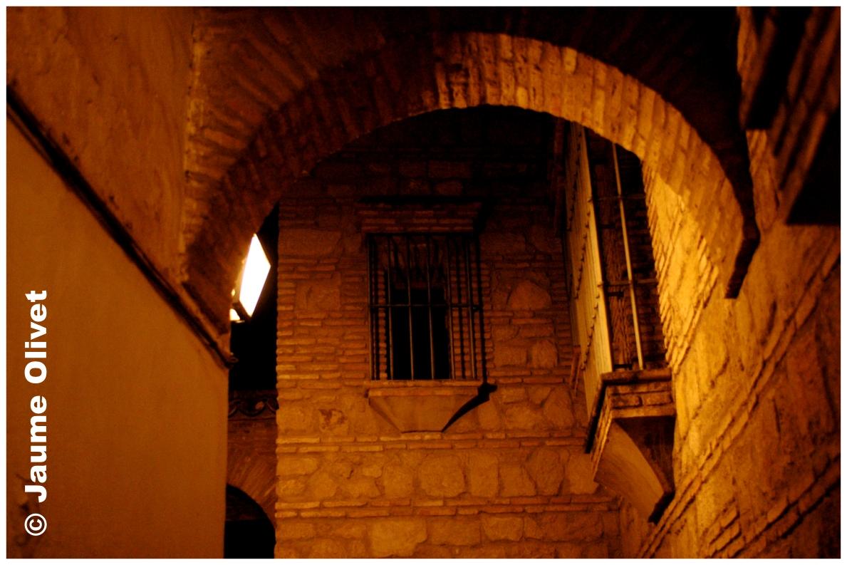 � Jaume Olivet 2009