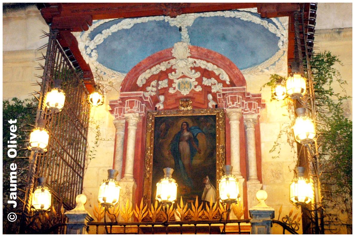 � Jaume Olivet 2009