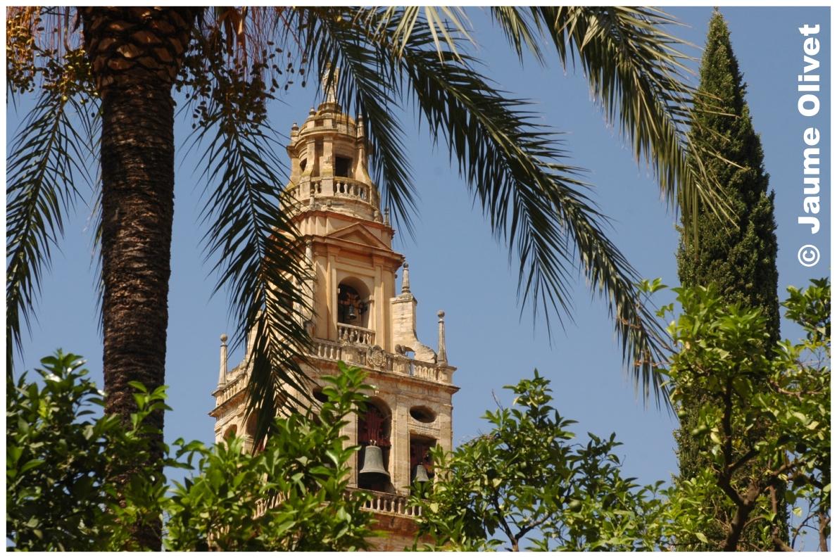 � Jaume Olivet 2009