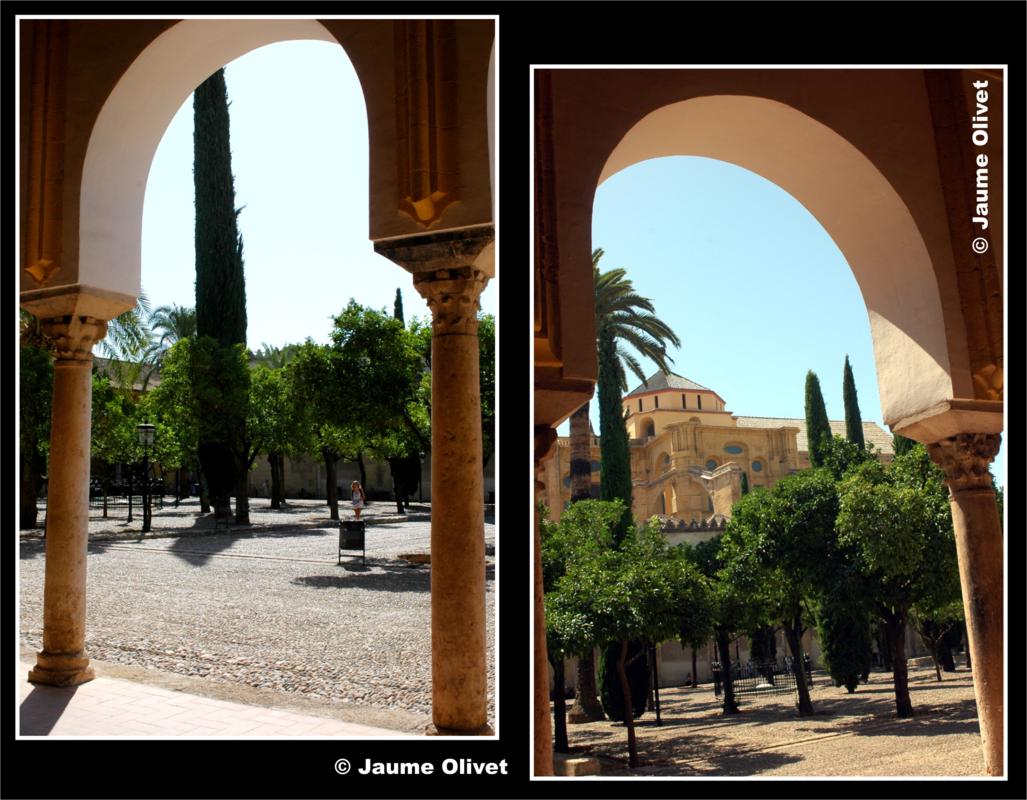 � Jaume Olivet 2009