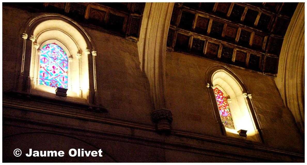 � Jaume Olivet 2009