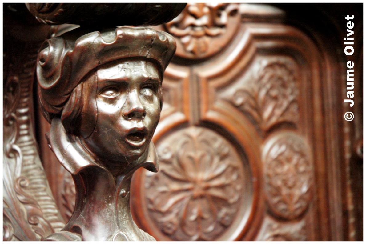 � Jaume Olivet 2009