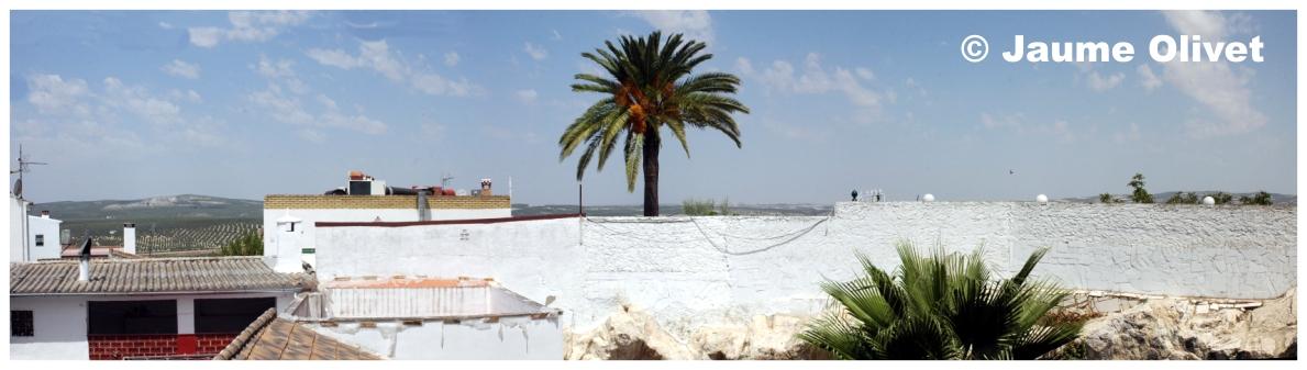 � Jaume Olivet 2009