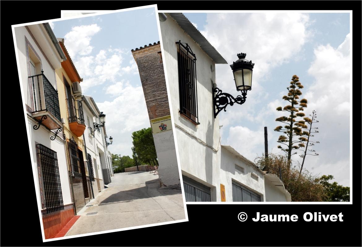 � Jaume Olivet 2009