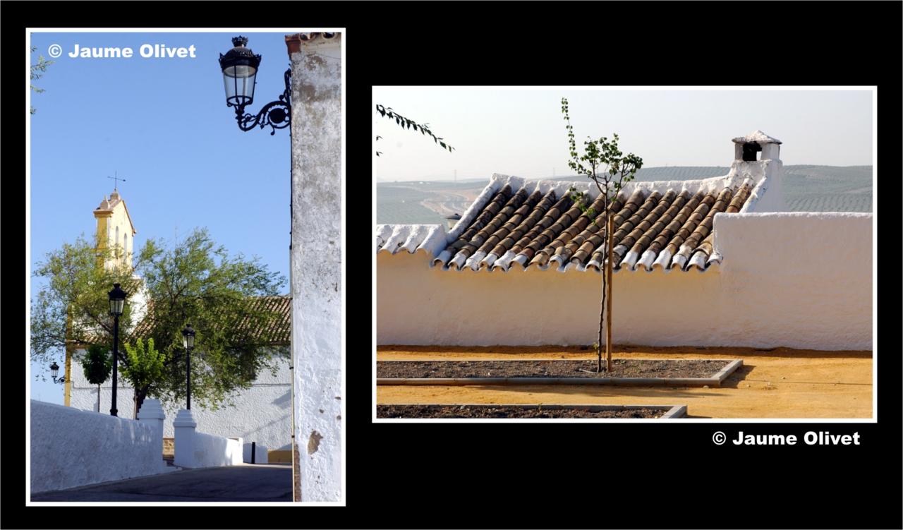 � Jaume Olivet 2006