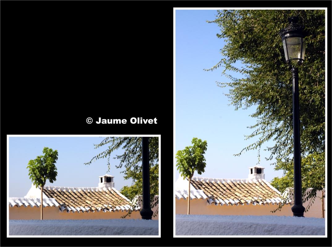 � Jaume Olivet 2006