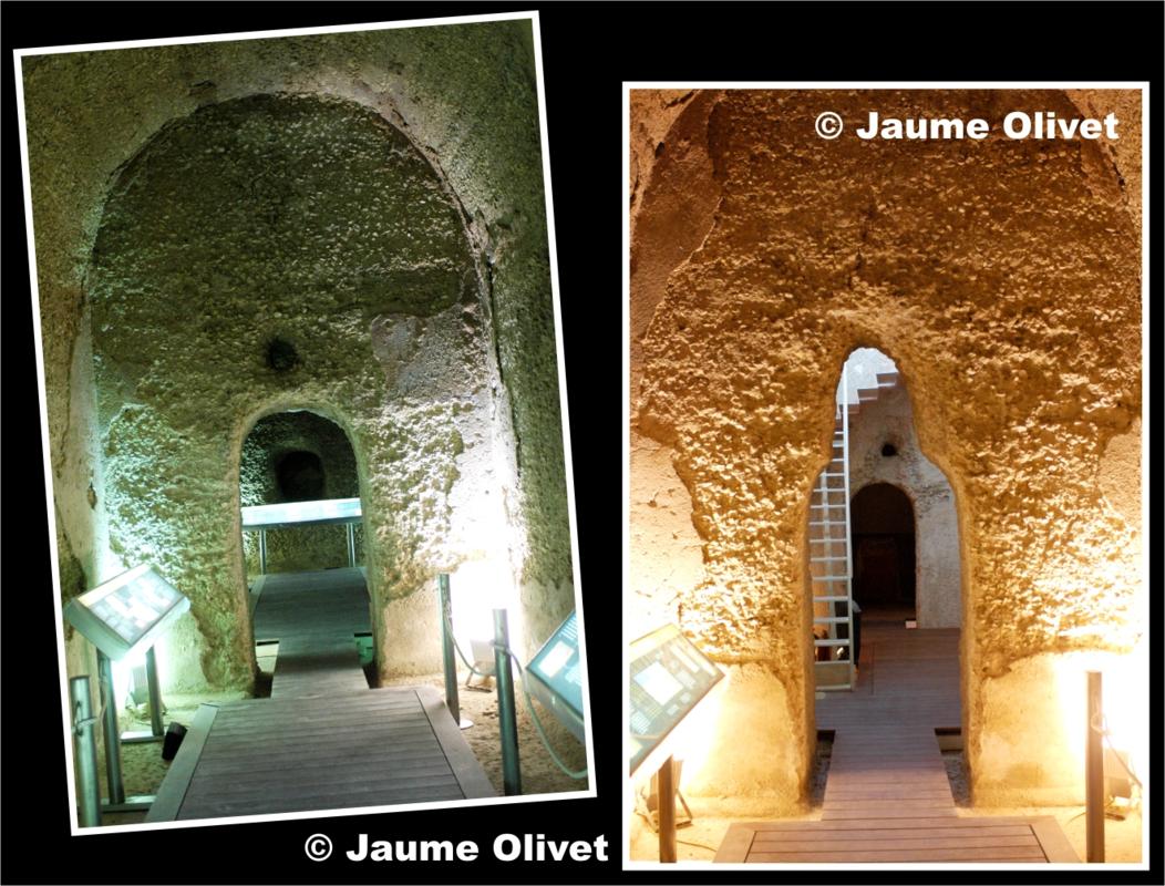 © Jaume Olivet 2009