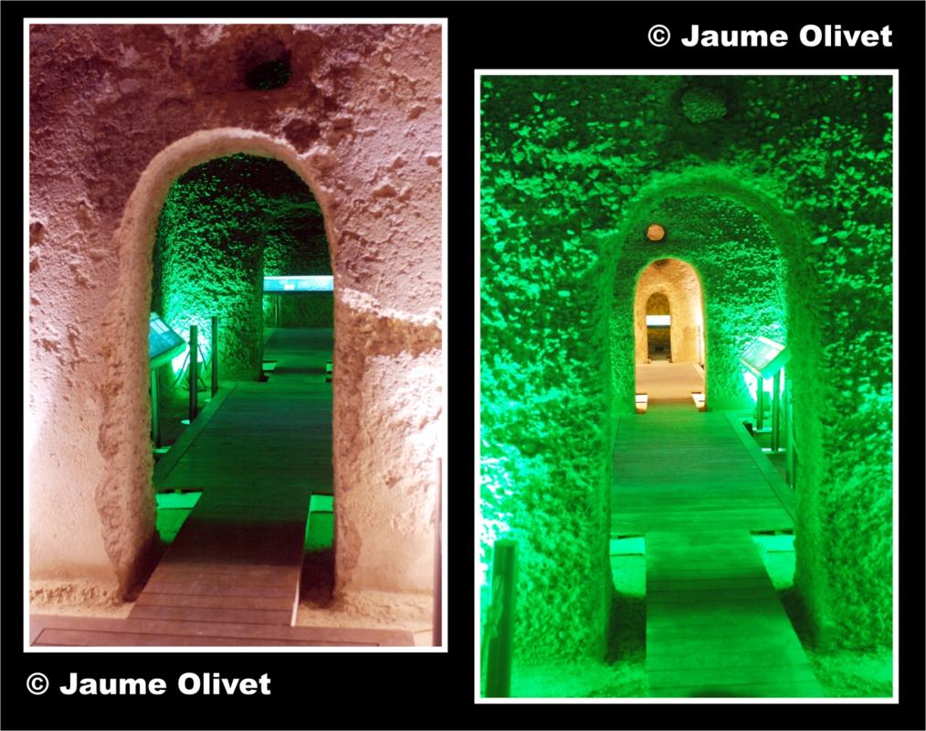 © Jaume Olivet 2009