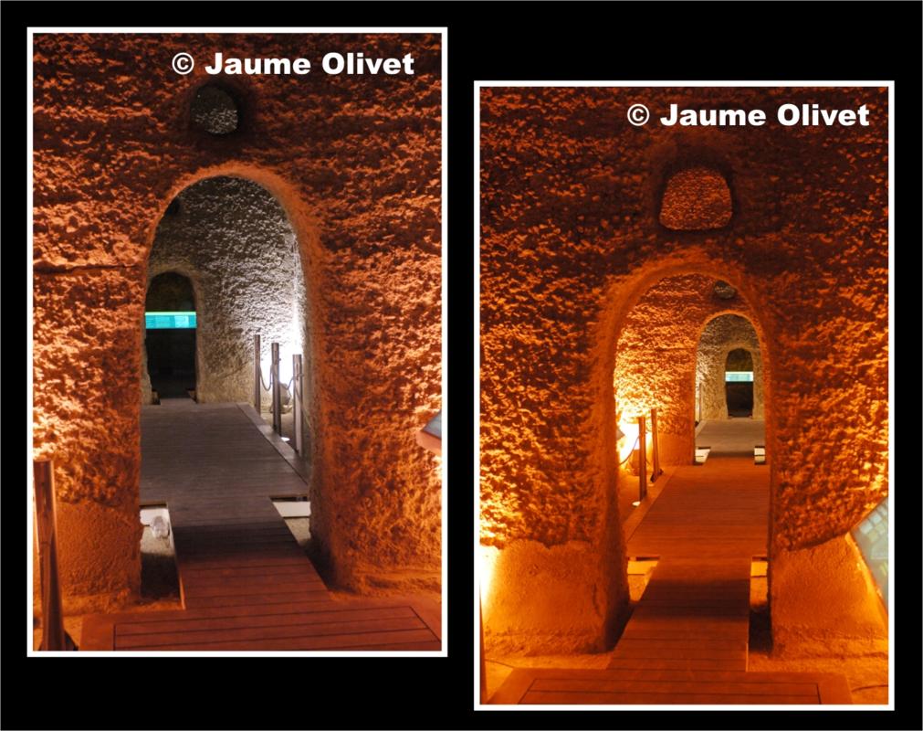 © Jaume Olivet 2009