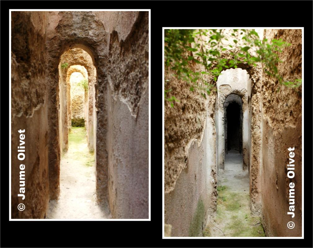 © Jaume Olivet 2009