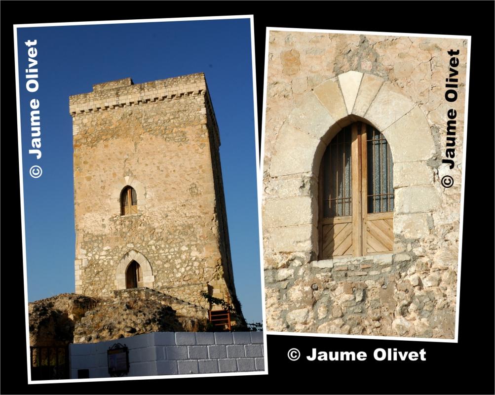 � Jaume Olivet 2009