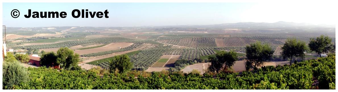 � Jaume Olivet 2009