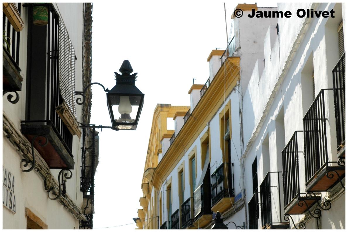 � Jaume Olivet 2009