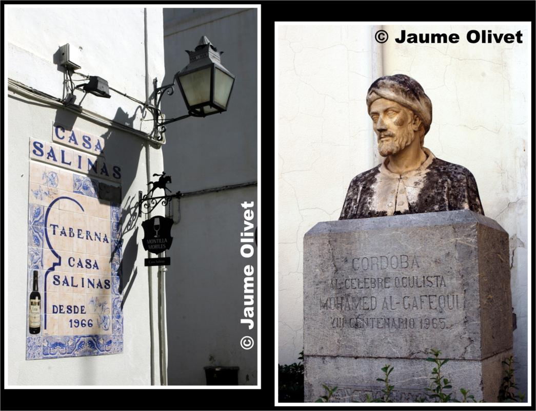 � Jaume Olivet 2009