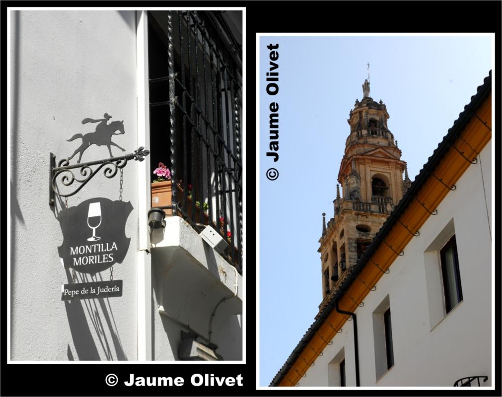 � Jaume Olivet 2009