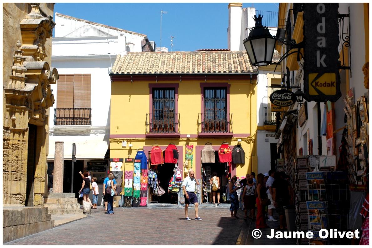 � Jaume Olivet 2009