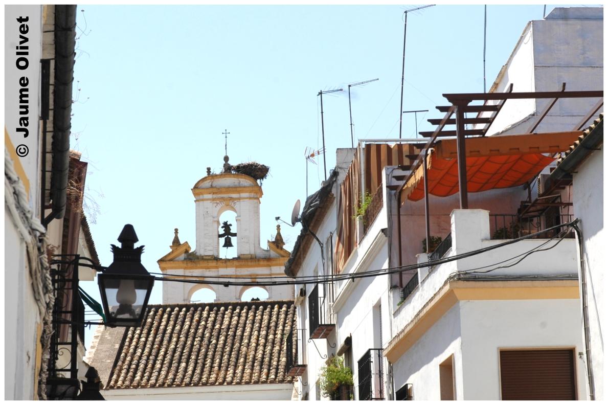 � Jaume Olivet 2009