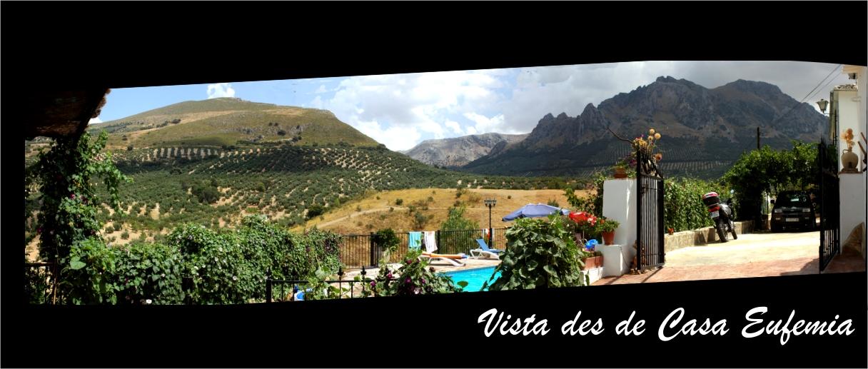 � Jaume Olivet 2009