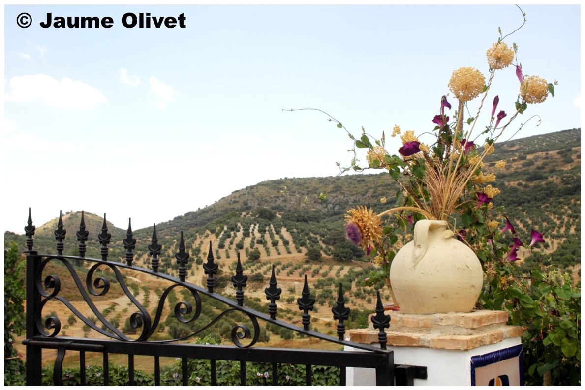 � Jaume Olivet 2009